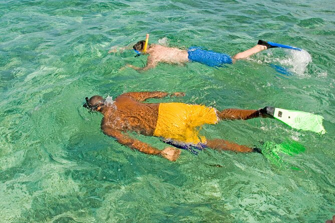 Rose Island Swimming Pigs & Beach Snorkeling Experience Nassau. - Timing, communication, and group size