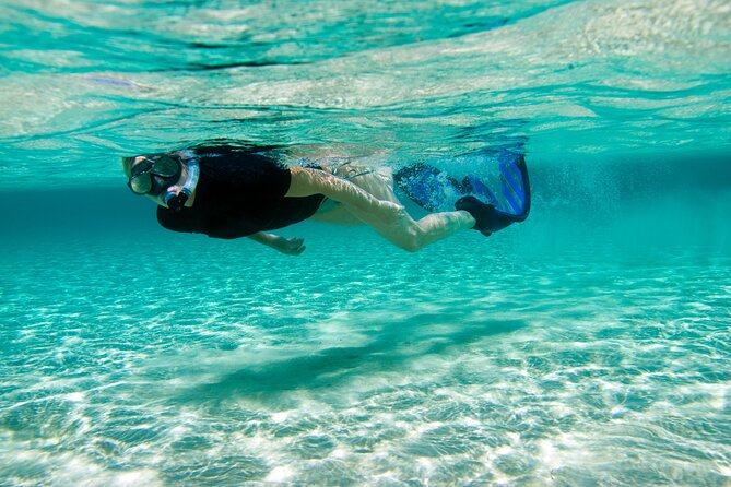 Rose Island Swimming Pigs & Beach Snorkeling Experience Nassau. - Who will enjoy this outing most
