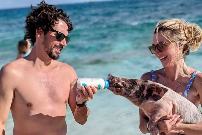 Rose Island Swimming Pigs & Beach Snorkeling Experience Nassau. - What to bring and how to make the day easier