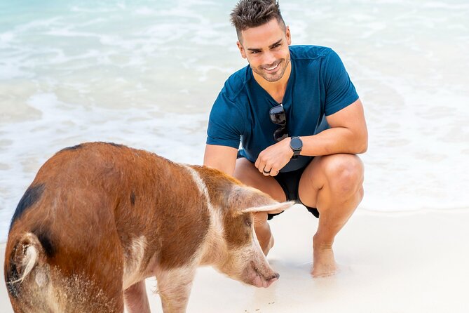 Sandy Toes The Original Rose Island and Swimming Pigs Tour - What the $258 price really buys