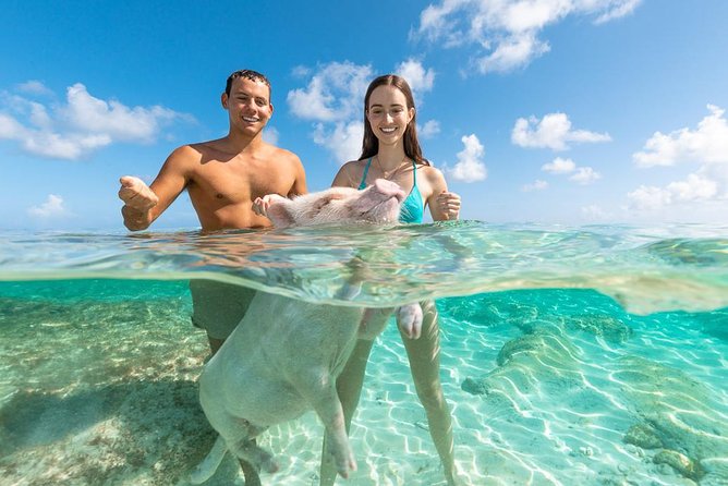 Sandy Toes The Original Rose Island and Swimming Pigs Tour - Who should book this Rose Island outing?