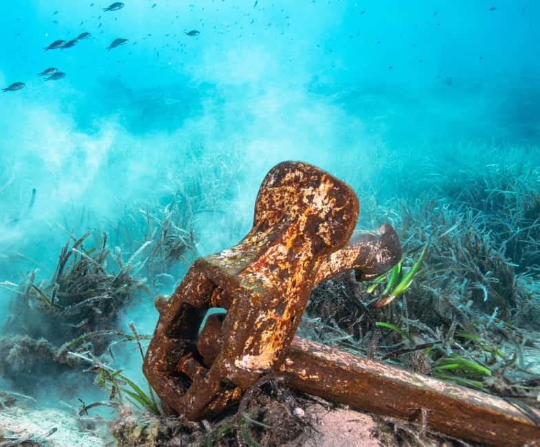Sea-nic, Sip N’ Snorkel on a Semi-Submersive Seacraft - Why this boat trip feels different