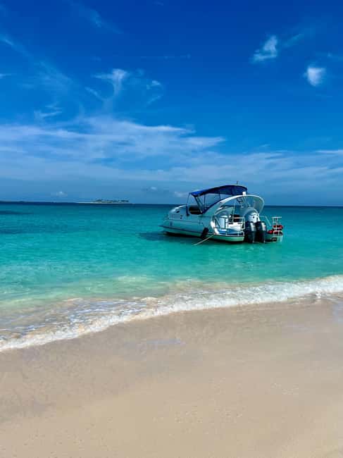 Sea-nic, Sip N’ Snorkel on a Semi-Submersive Seacraft - Booking, cancellation, and practical preparation