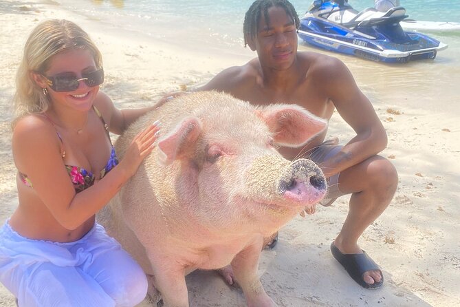 Self Drive Speedboat and Swim with the Pigs - What the crew adds to the experience