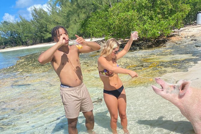 Self Drive Speedboat and Swim with the Pigs - Wind, comfort, and realistic expectations