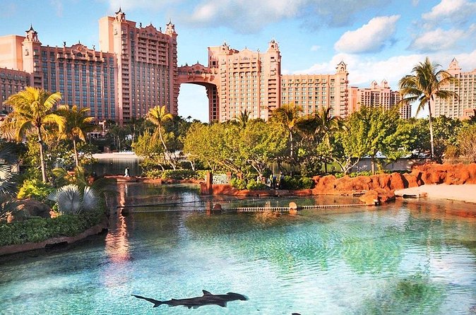 Sightseeing Island Tours Nassau Bahamas Paradise Island - Who Will Get the Most From This Ride