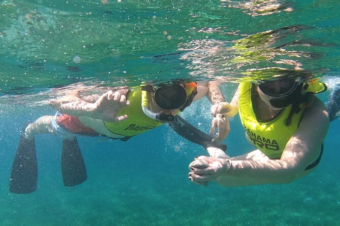 Small-Group Snorkeling Experience at Sea Garden - Key points to know before you book