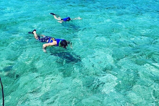 Small-Group Snorkeling Experience at Sea Garden - Leaving Blue Finn Charters for Nassau Harbor