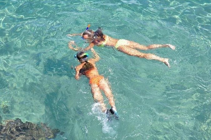 Small-Group Snorkeling Experience at Sea Garden - The likely rhythm of your two-hour outing