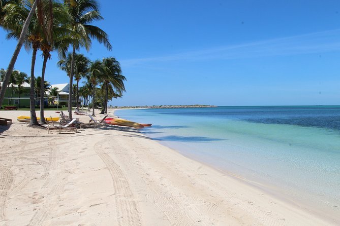 Snorkel/Swim with the Turtles Experience - Port Lucaya Marketplace and the maritime museum