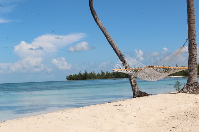 Snorkel/Swim with the Turtles Experience - Why the private format changes the day