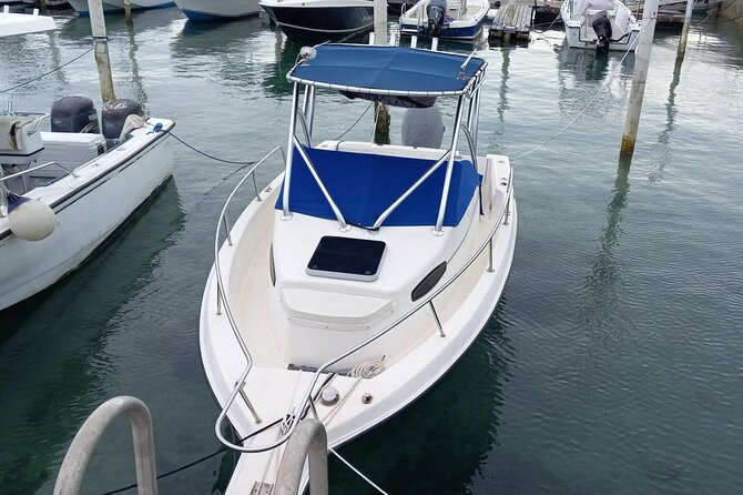 Snorkeling, Swim with Turtles & Beach Day - Why a private Nassau boat makes sense