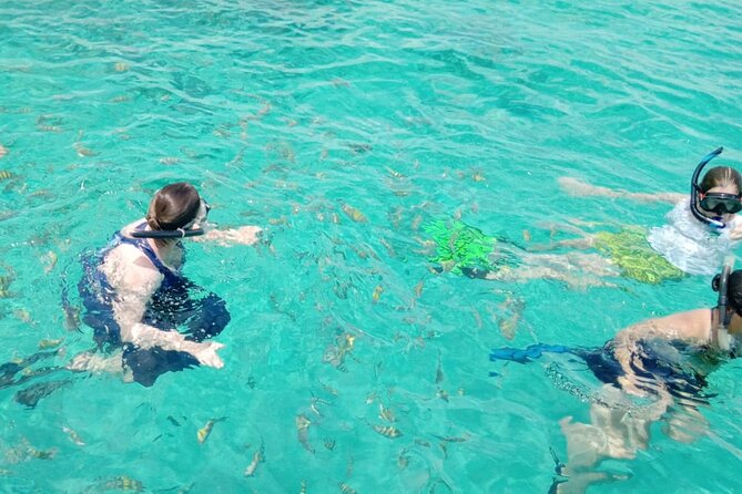 Snorkeling, Swim with Turtles & Beach Day - Snorkeling over the reef