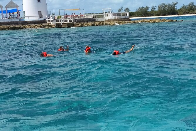 Snorkeling, Swim with Turtles & Beach Day - Beach time and the appeal of Rose Island