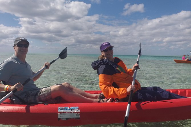 Sweetings Cay Mangrove Kayaking and Turtles - Turtle Park and the Conservation Stop