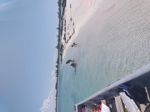 Sweetings Cay Mangrove Kayaking and Turtles - Who Will Enjoy This Tour Most