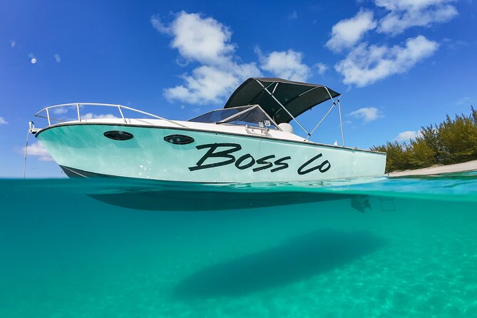 Swim with Famous Pigs at Rose Island - Key points to know before booking