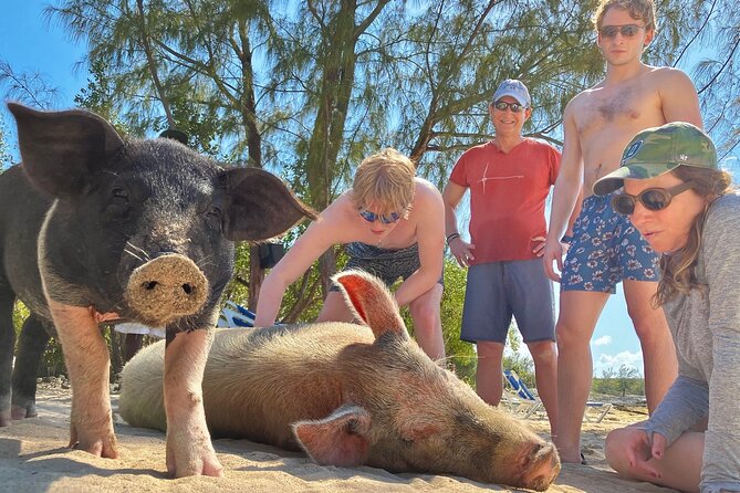 Swim with Famous Pigs at Rose Island - Snorkeling with turtles and a look toward Gilligan’s Island