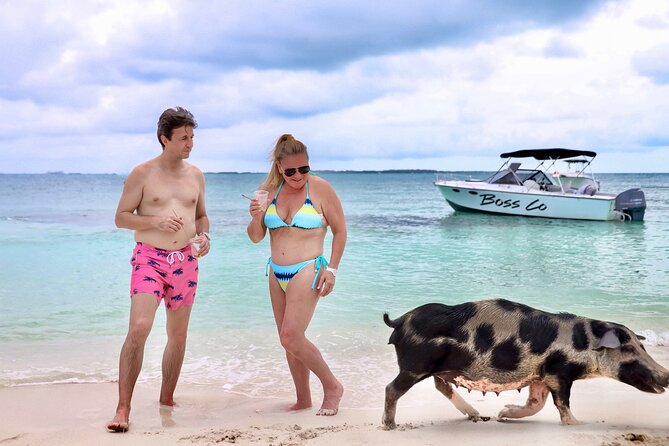 Swim with Famous Pigs at Rose Island - Kayaks, hammocks, and time away from the boat
