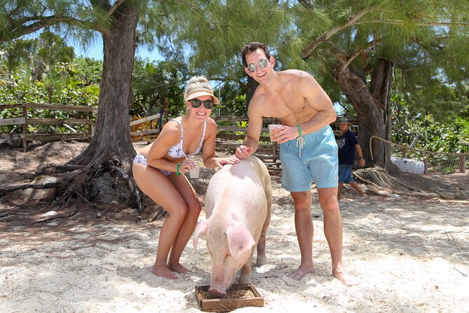 Swim with Famous Pigs at Rose Island - What the private format changes
