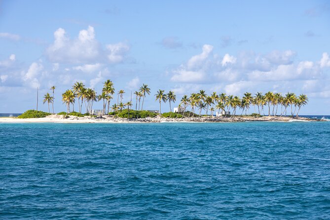 Swim with Famous Pigs at Rose Island - What is included, and what you should plan for