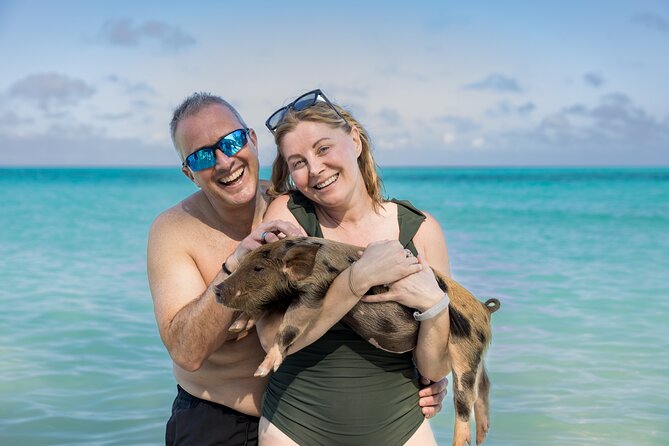 Swim with Famous Pigs at Rose Island - What the strong praise tells you