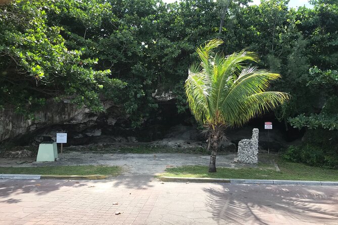Swim with the Pigs and Explore Caves in Nassau - Key points to know before booking