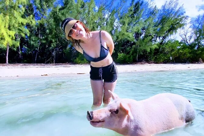 Swim with the Pigs and Explore Caves in Nassau - Pickup, group size, and communication