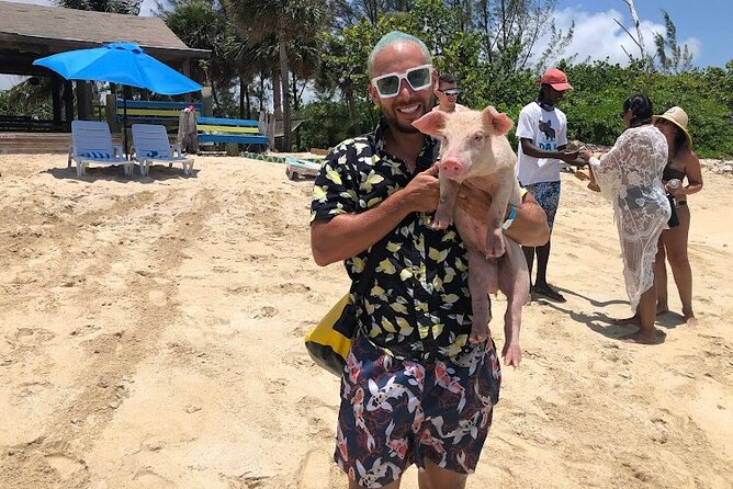 Swim with the Pigs and Explore Caves in Nassau - Beach time at Adelaide Village