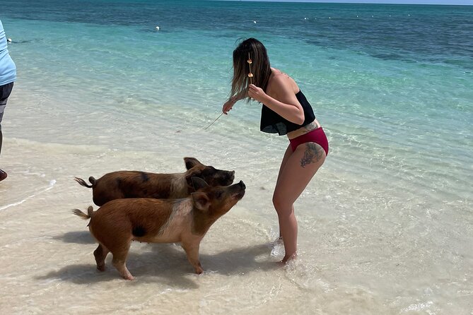 Swim with the Pigs Freeport @Creative Eco Adventures - Arriving at Cleveland’s Beach Club