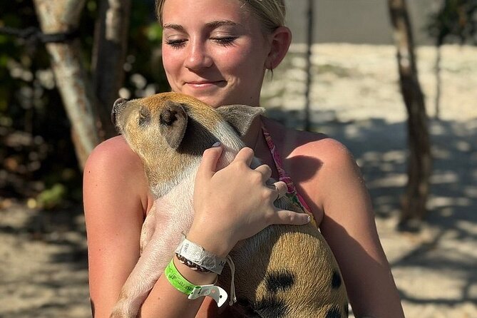 Swim with the Pigs Freeport @Creative Eco Adventures - The pig pen adds a behind-the-scenes touch