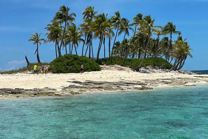 Swim with the Pigs Safari in Bahamas (2hrs) - Why this two-hour trip works so well