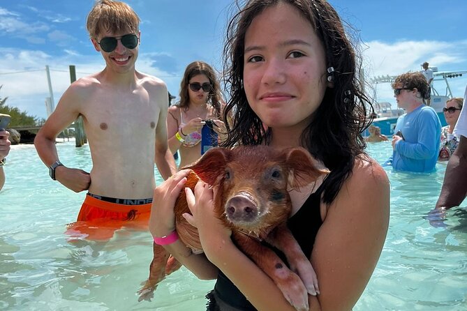 Swim with the Pigs Safari in Bahamas (2hrs) - Is $175 per person good value?