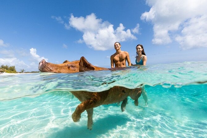 Swim with the Pigs Safari in Bahamas (2hrs) - Cruising past Atlantis and Paradise Island