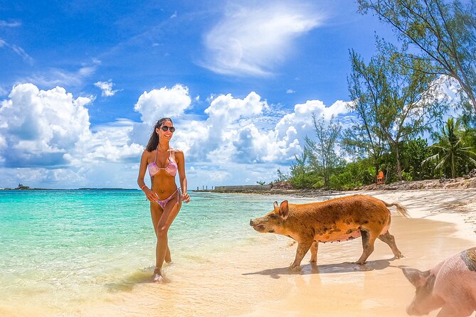 Swimming Pigs and Pearl Island Beach Escape - Who will enjoy this most