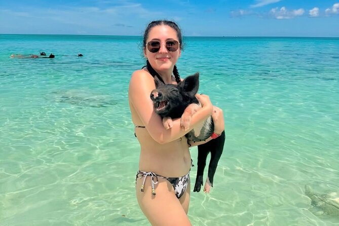 Swimming Pigs and Private Beach Club Escape - Leaving Nassau for Rose Island