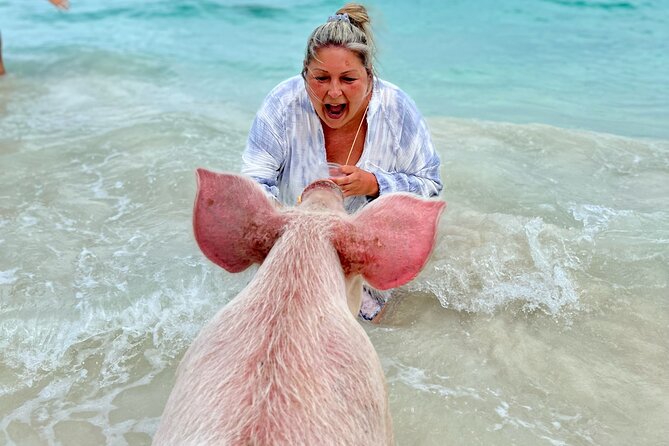 Swimming Pigs and Private Beach Club Escape - Families, cruise passengers, and the right kind of beach day