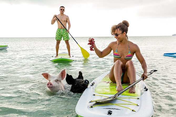 Swimming Pigs & ATV Tour - Key points to know before booking