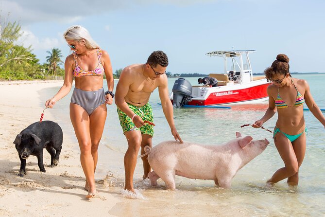 Swimming Pigs & ATV Tour - What the four-hour schedule really gives you