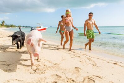 Swimming Pigs & ATV Tour