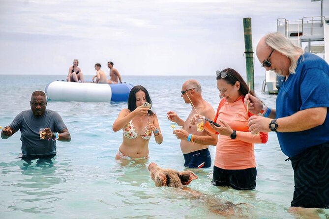 Swimming Pigs Of Rose Island Water Taxi Nassau Bahamas - What to do after the pigs return