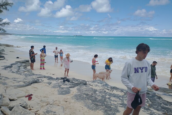Swimming Pigs & Tour with Transportation to Rose Island - Lunch, a free drink, chairs, and towels