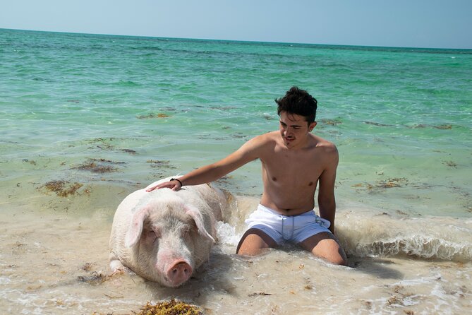 Swimming with Pigs in Nassau, Transportation Included - The 30-minute pig encounter