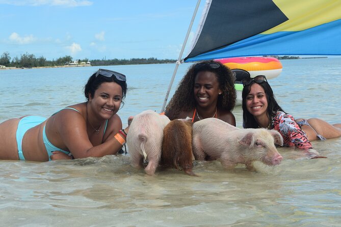 Swimming with Pigs in Nassau, Transportation Included - Lunch on the beach
