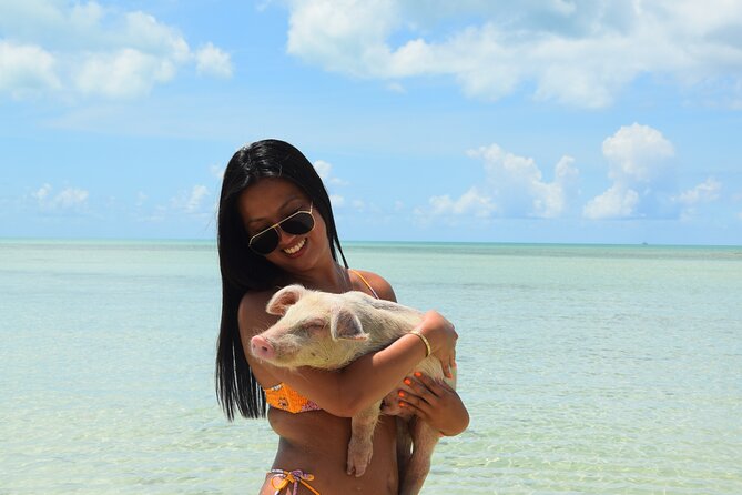 Swimming with Pigs in Nassau, Transportation Included - Group size and the feel of the day