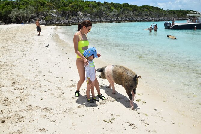 Swimming with Pigs in Nassau, Transportation Included - What to pack, and what to clarify