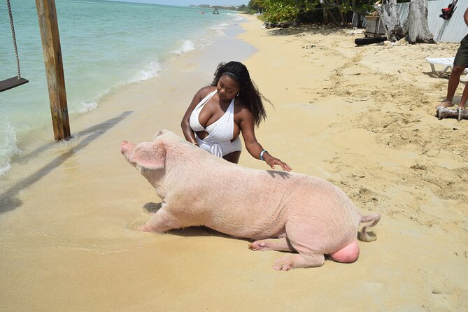 Swimming with Pigs in Nassau, Transportation Included - The 20-minute crossing to Rose Island
