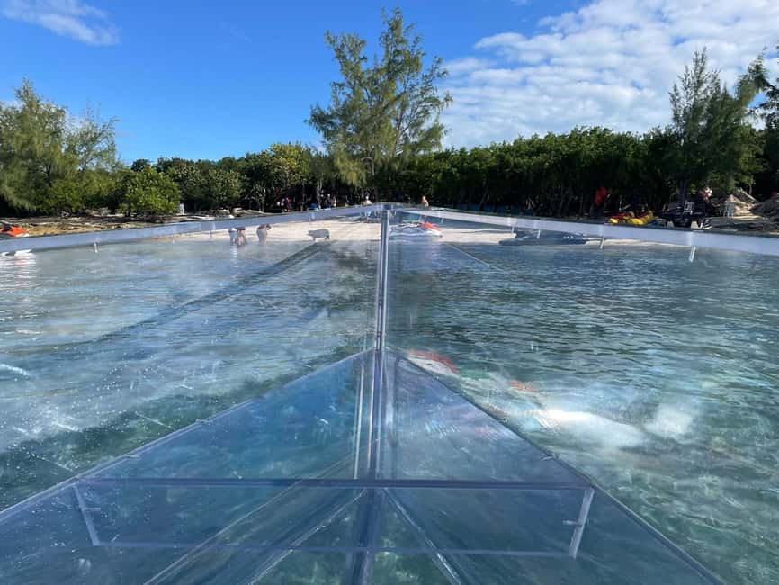 The Clear Boat Experience Bahamas drinks and snacks included - The Sea Garden Stop and the Marine Life Question