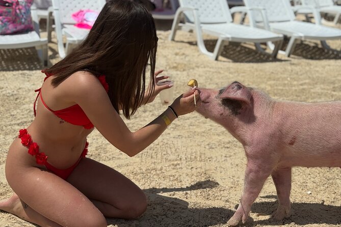 The Ultimate Bahamian Beach Day: Pigs, Jet Ski, Snorkeling & More - Who Will Enjoy This Most