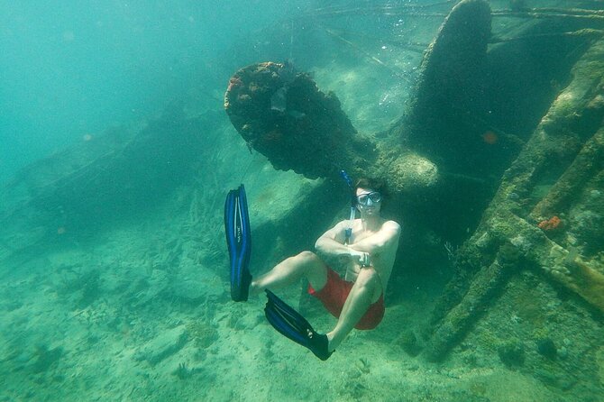 Top 4 Snorkeling Adventures in Bimini - Stingray Island offers a calmer wildlife encounter